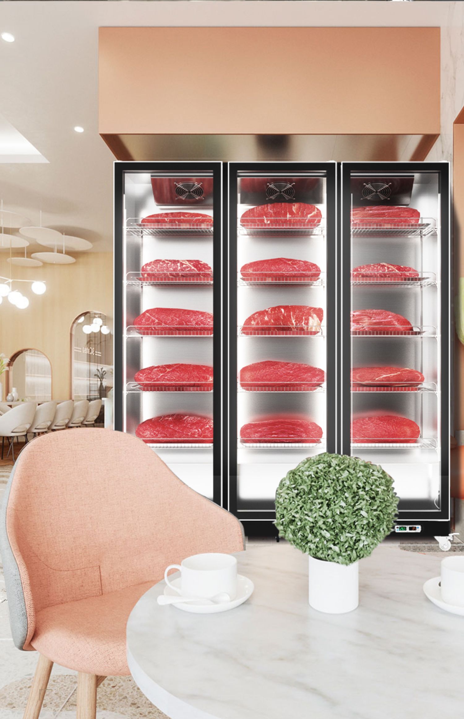 冷冻展示柜商用榴莲牛肉冷柜立式冰柜速冻低温冰箱牛排食品保鲜柜弭黎