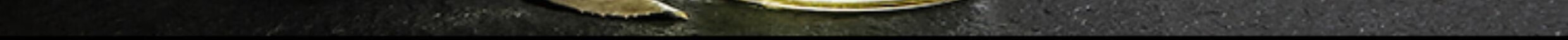 04a0390137c20c47.jpg
