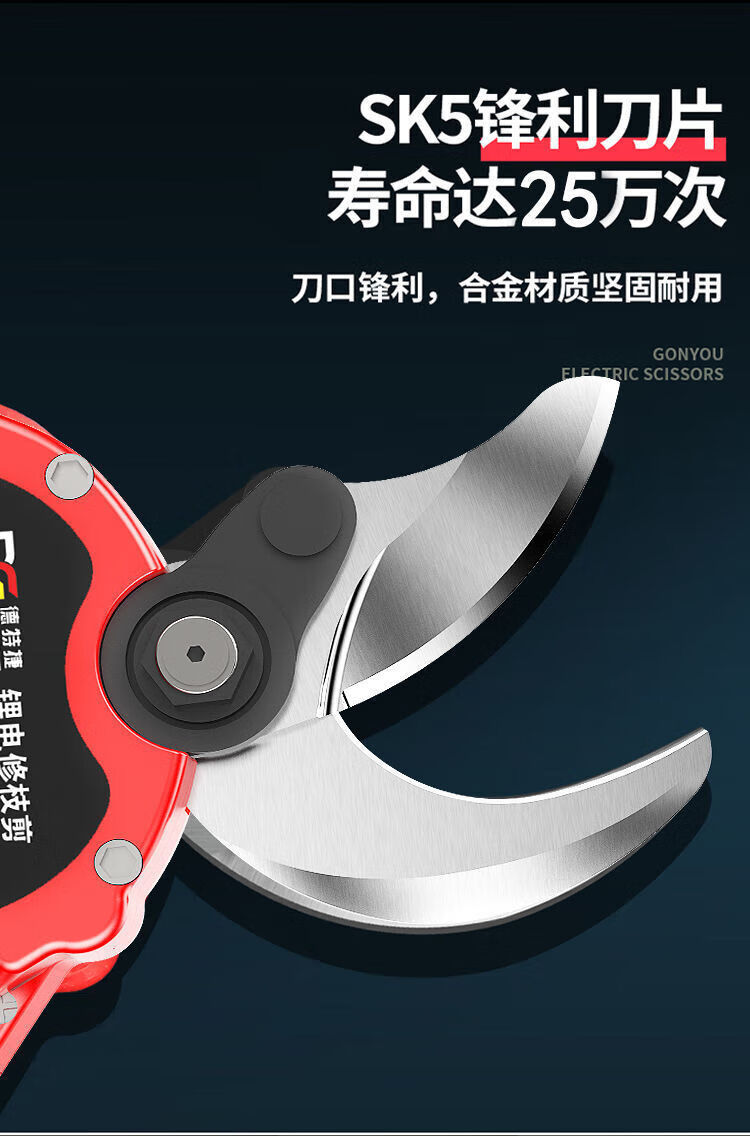 ca5892bbe2b20e29.jpg