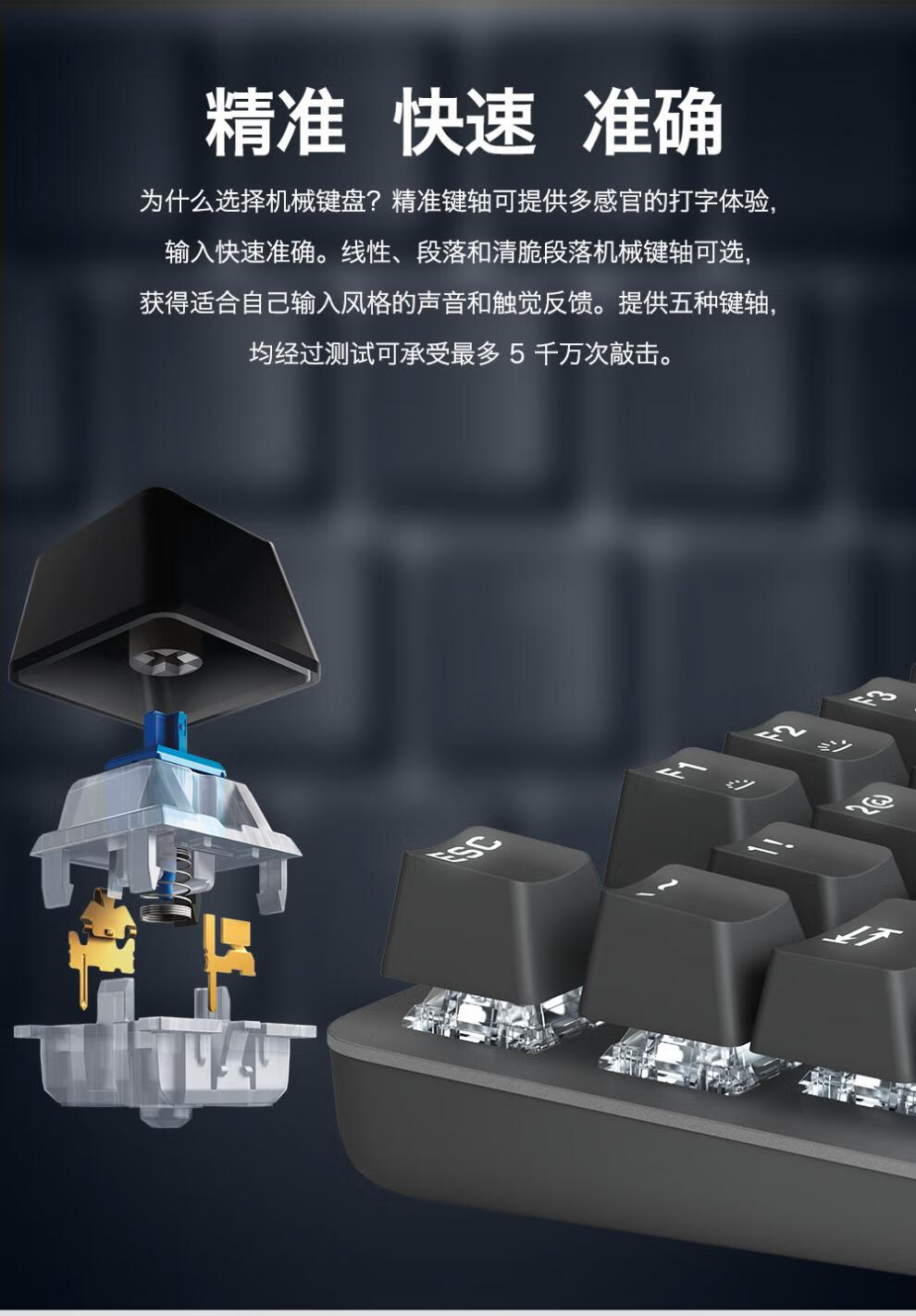 97d4c2ddda1ae215.jpg