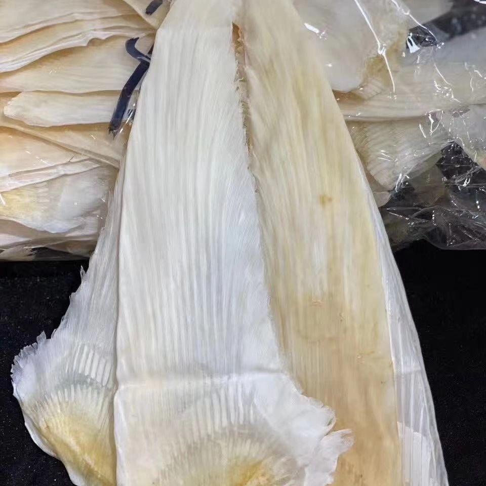 干货 牙拣翅10寸-22寸规格干货海味滋补超多翅针高端 14-16寸500克