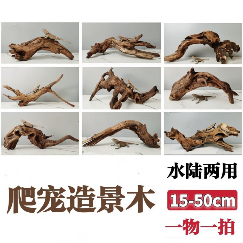 34cad30c8e9c6bda.jpg