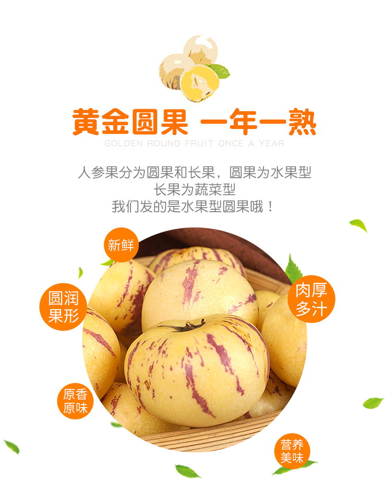 采缇 云南 圆果新鲜水果整箱大果特级七彩黄肉长寿人生果 大果 圆果 5