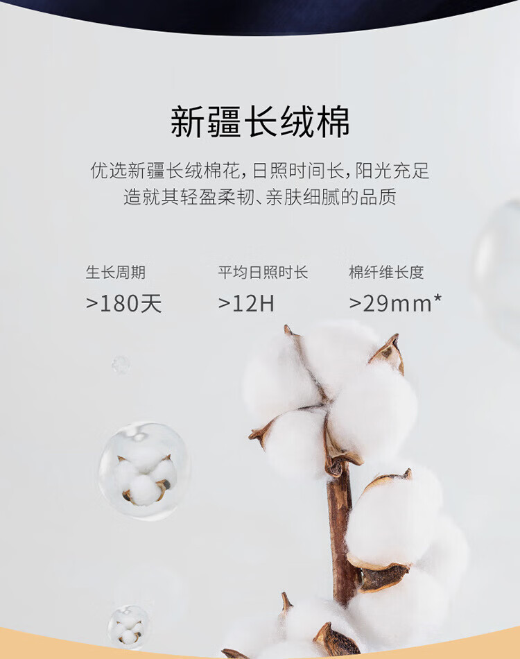 46ca775d5eee8a05.jpg