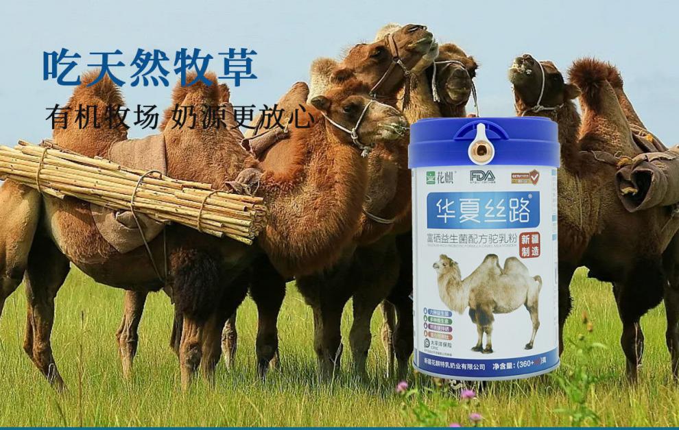 花麒华夏丝路骆驼奶粉 新疆益生菌营养骆驼乳成人奶粉 1罐 华夏丝路
