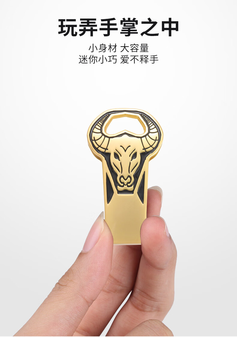 君吻惠普(hp)电脑适用于罗捷u盘256g 高速usb3.