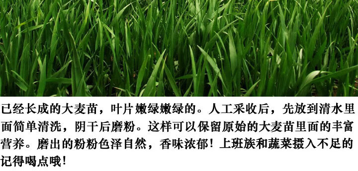 c1ce7e009a7f1c58.jpg