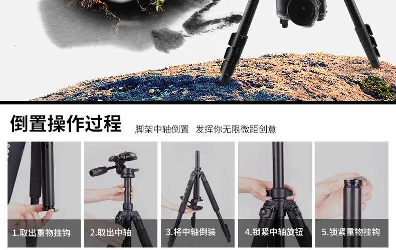 c67826d45de55ffb.jpg