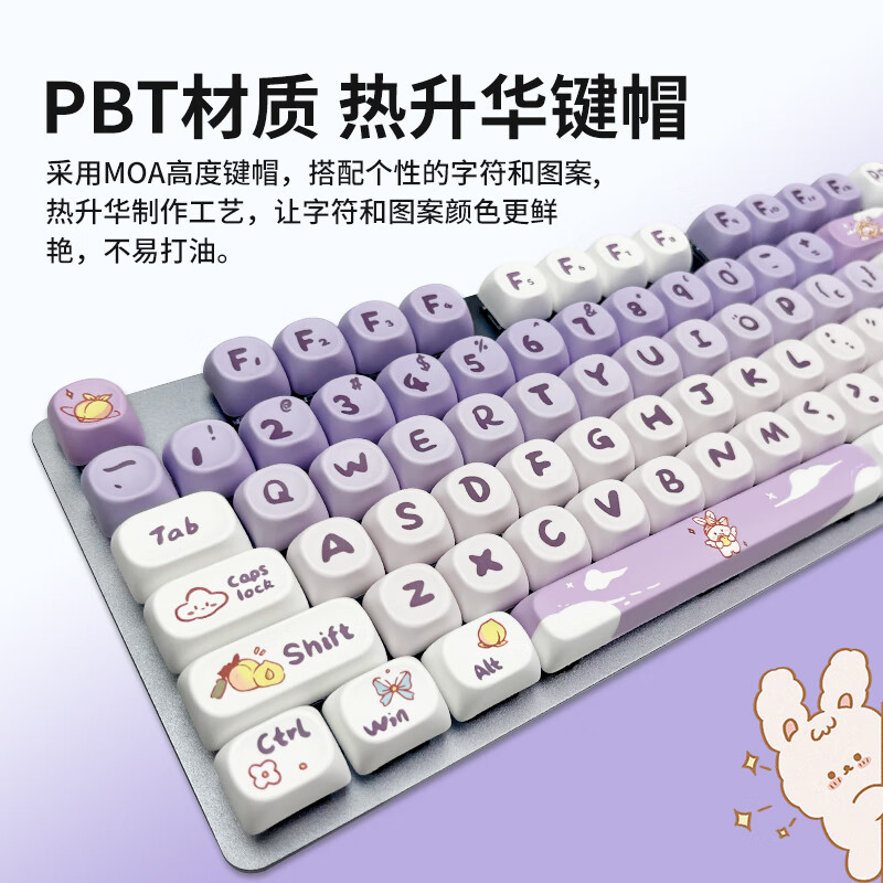 2edc5b79785e201d.jpg