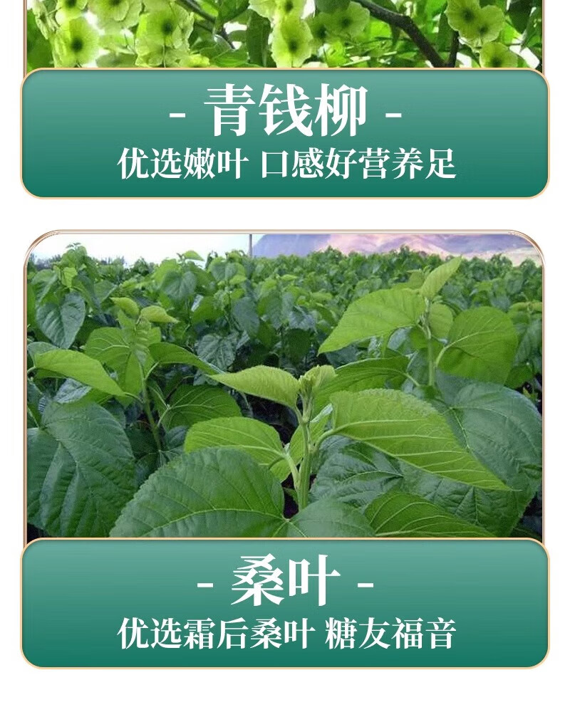 c399557e7c6783cc.jpg