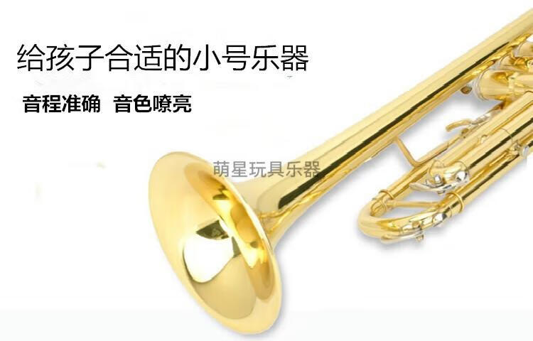 eb62d4b9eb77c382.jpg