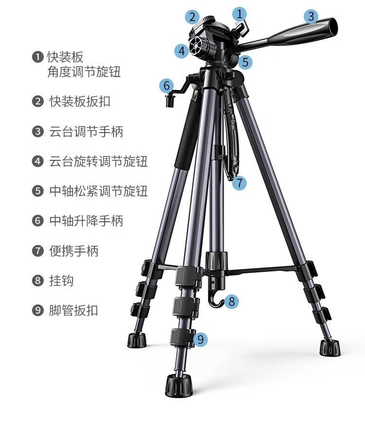 5a2a91269ff3f5db.jpg