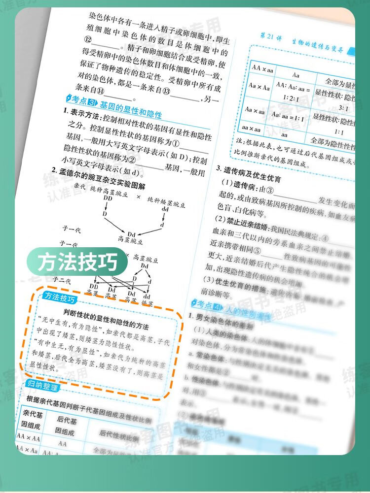 ff1c81f7b5305ddb.jpg