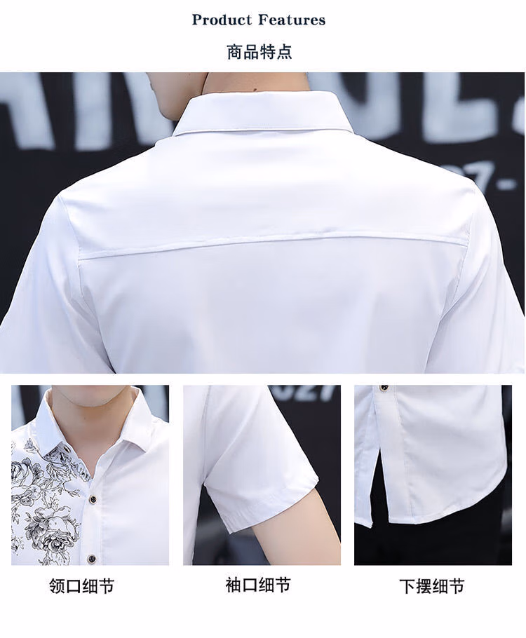 d208e29072a604d3.jpg.avif