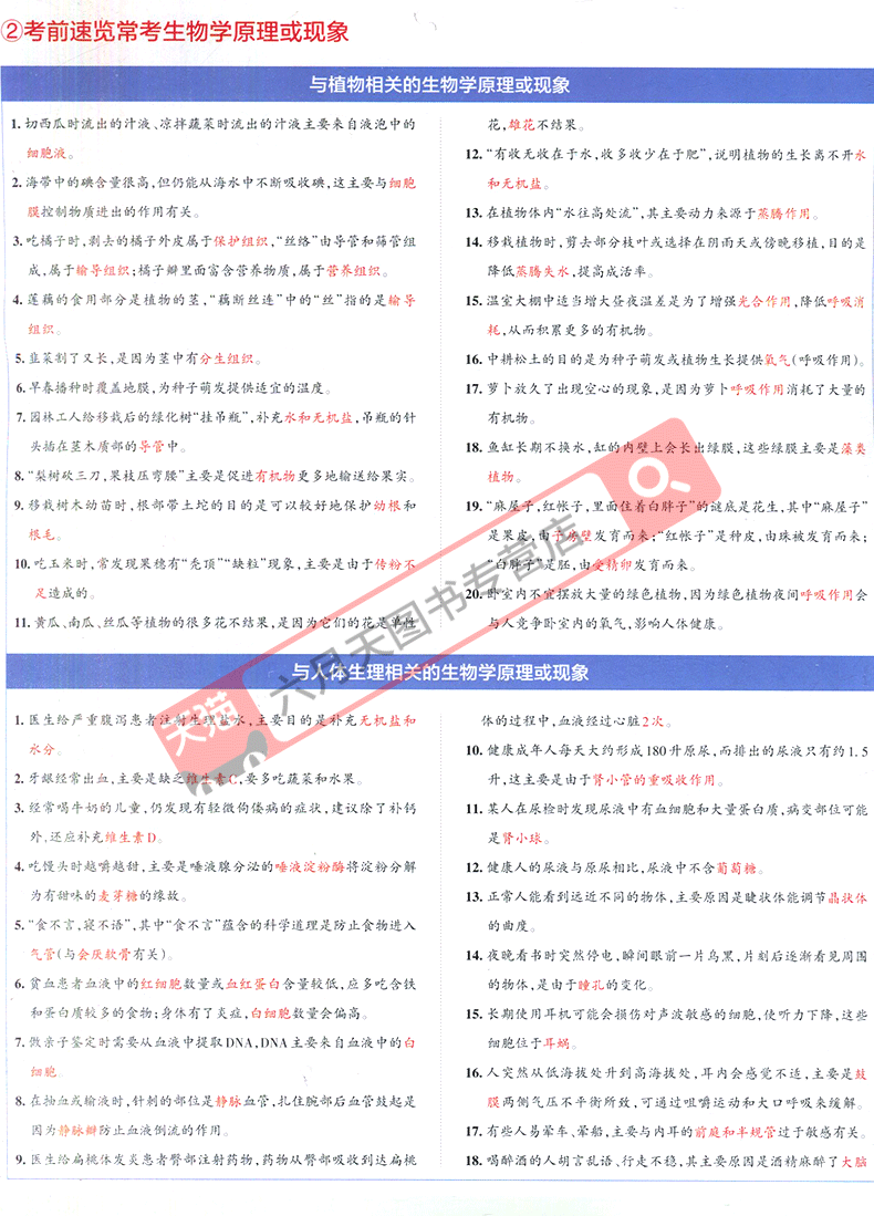 728dbe072c6fd019.png