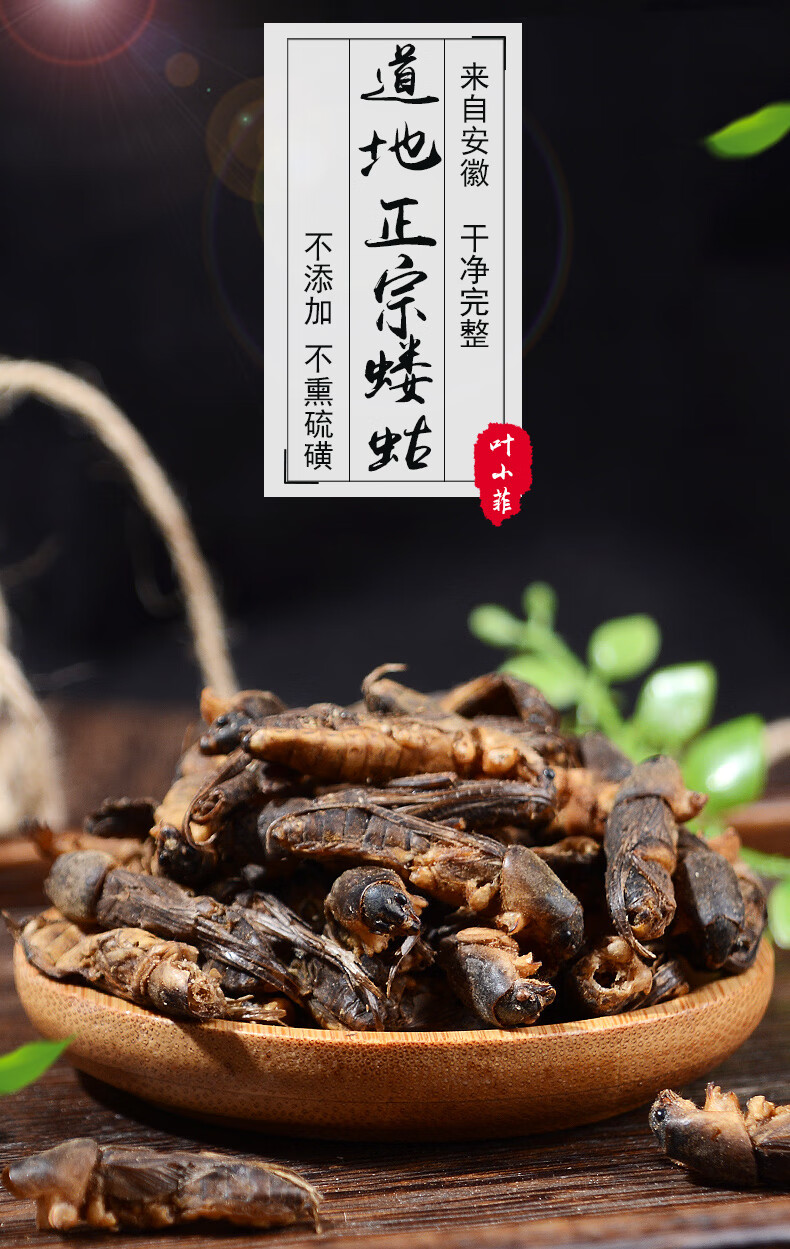 中药材蝼蛄蝼蛄干土狗散装500g无杂质可磨粉蝗虫干蛐蛐【图片 价格