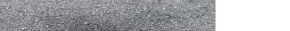 cfaf8b1ec9969572.jpg