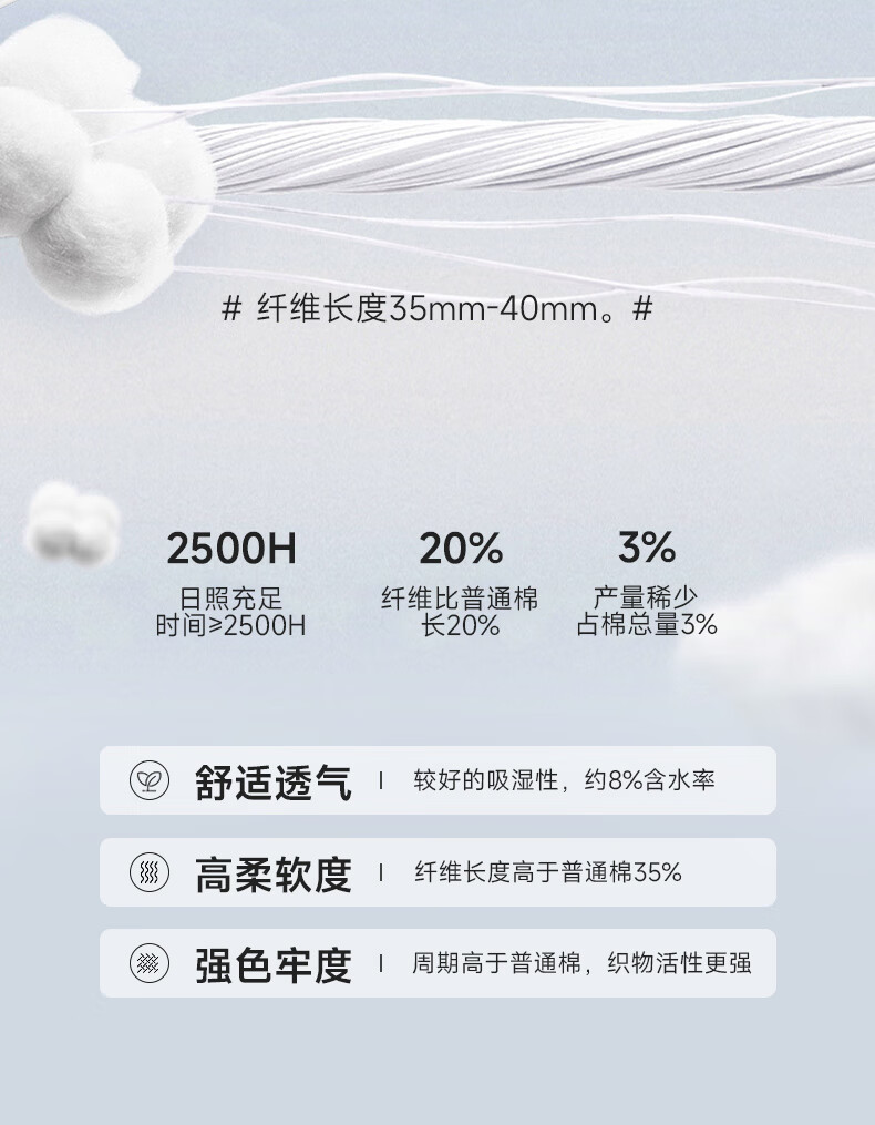 b88103543ea292b6.jpg