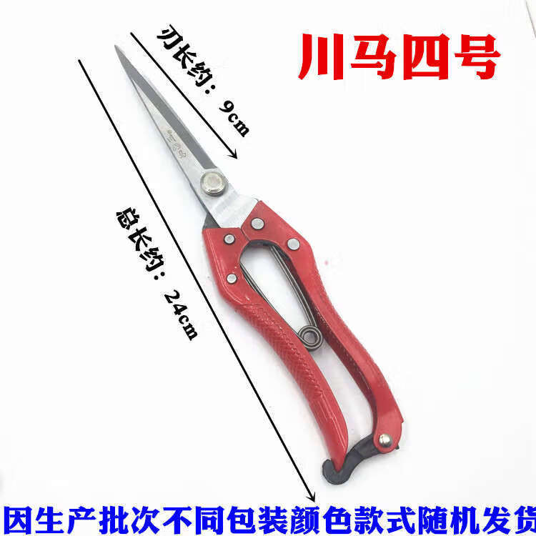 c7e93a899d48ff96.jpg