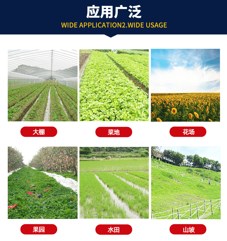 b2f82c6163812d97.png