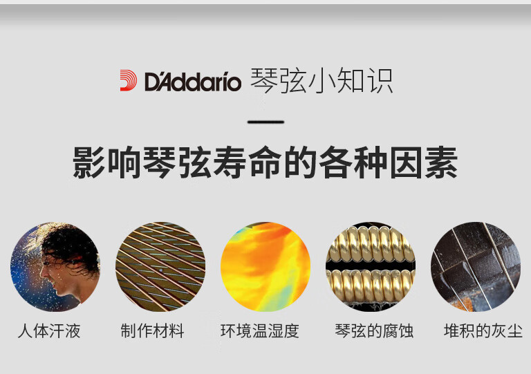 1e533b7308fc7c42.jpg