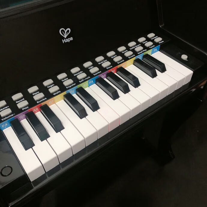 多功能25键灯光教学电子钢琴版310岁木制儿童男女孩钢琴e0629黑色25键