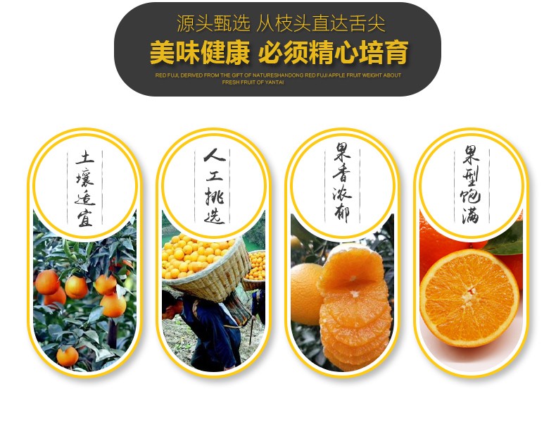 时染shiran湖北伦晚脐橙橙子新鲜现摘水果手剥橙10斤带箱大果果径75mm