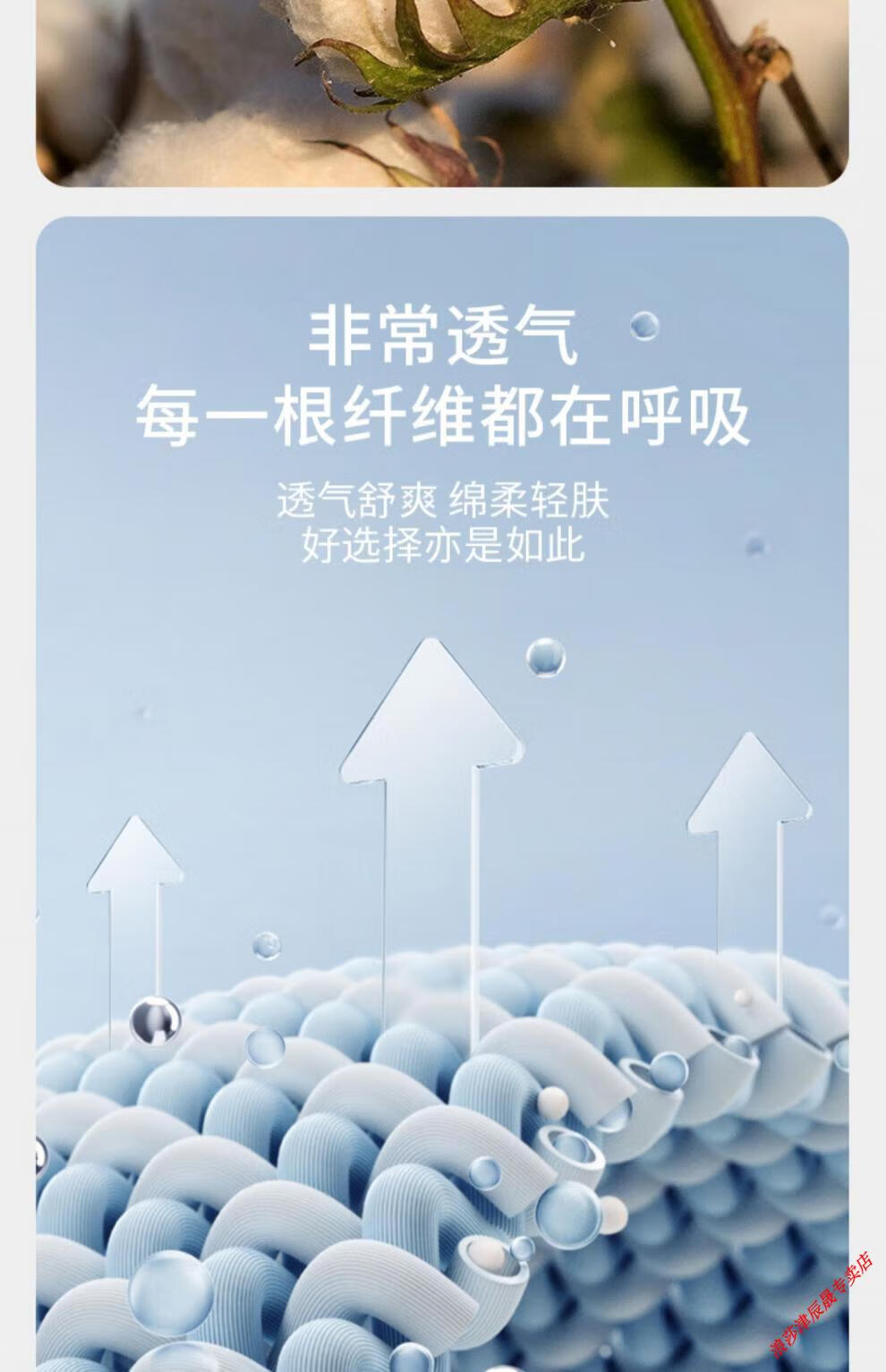 9cbe7e94355e6b78.jpg