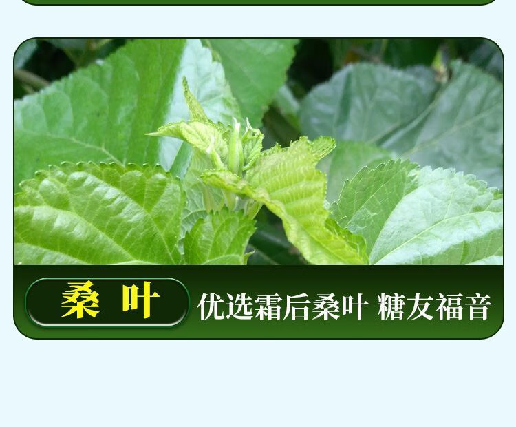 a66584cd38a04bb3.jpg
