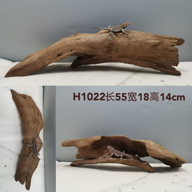 4d388643769ed945.jpg