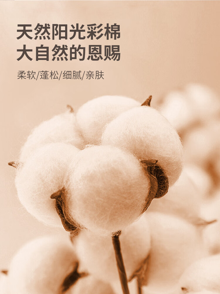 3b1edf1fc3c6168e.jpg' style=