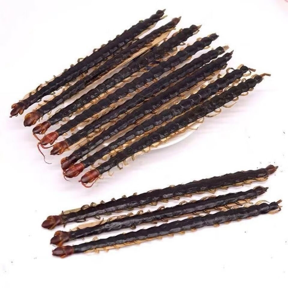 蜈蚣中药材大条湖北正宗整条蜈蚣干红头蜈蚣泡酒新货产地直销 精选18