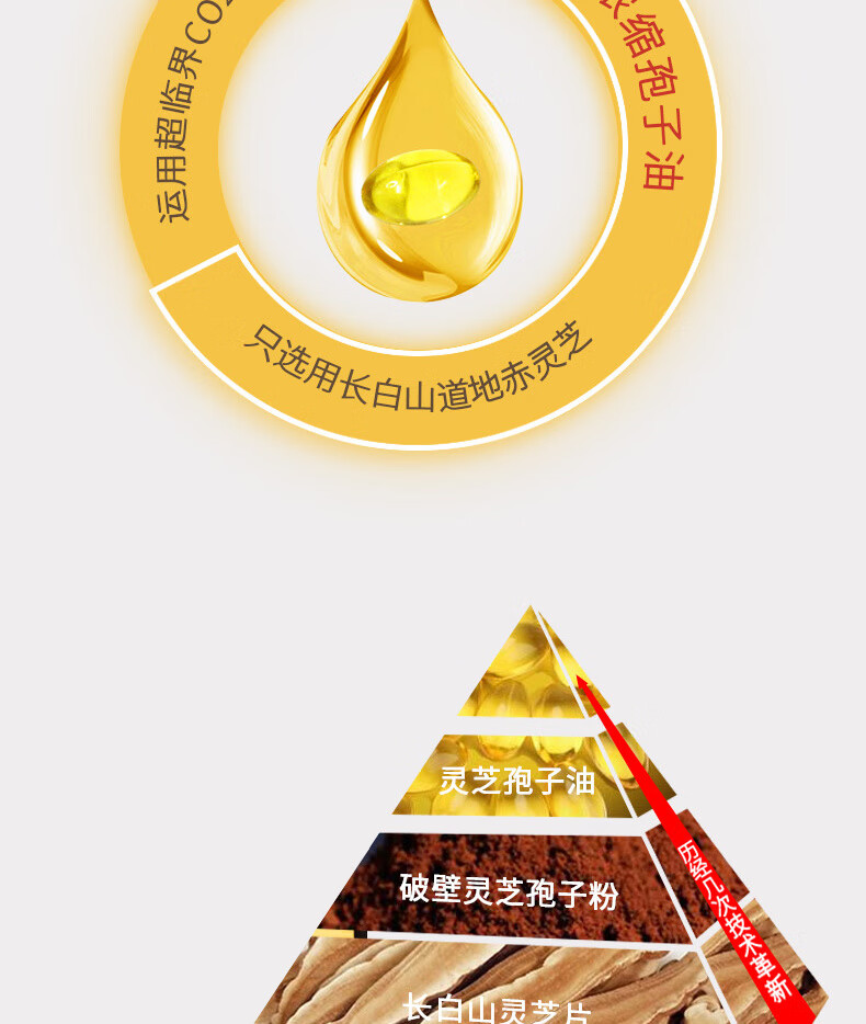 5d1e2395a8749b7b.jpg