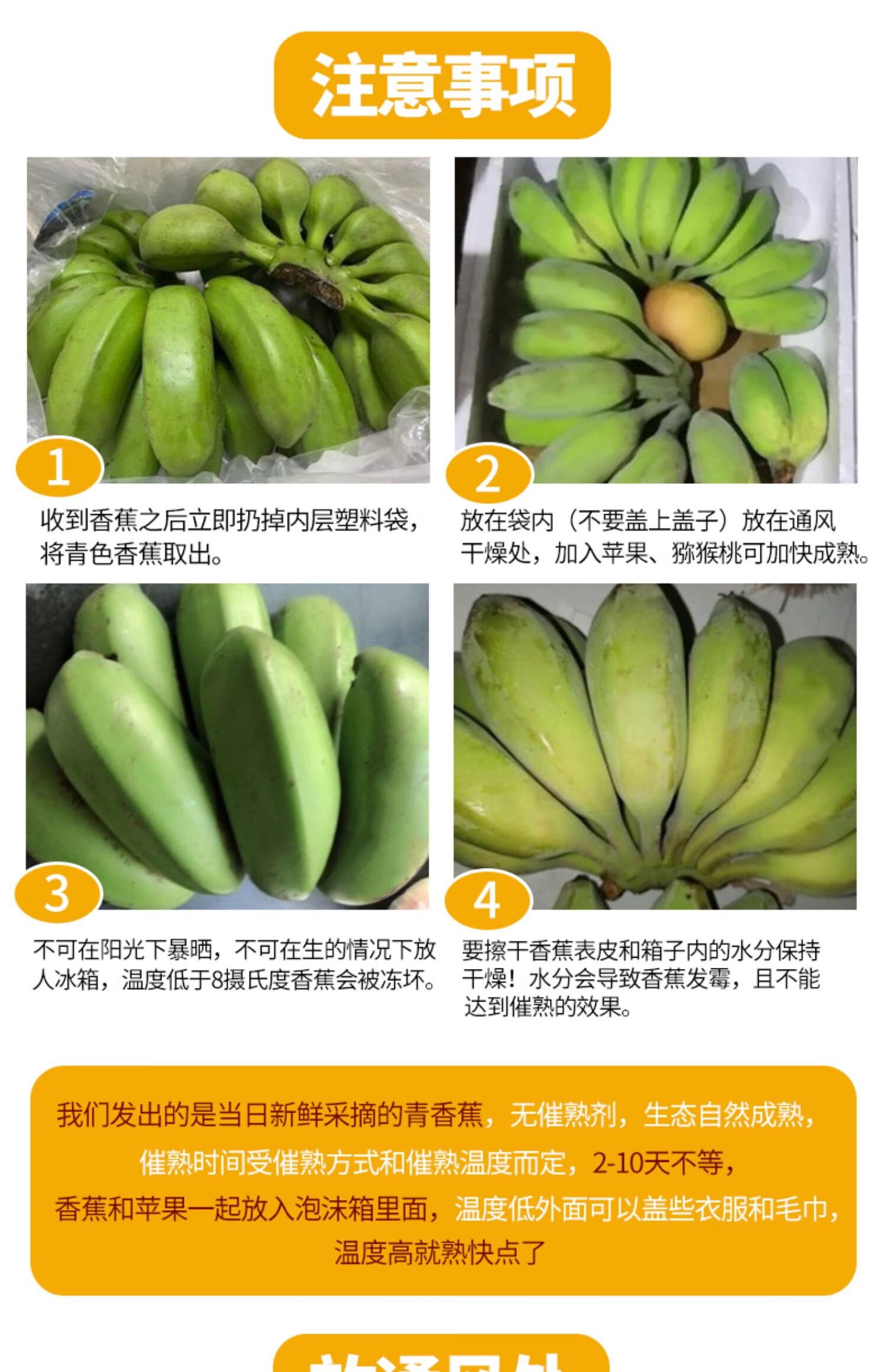 榕下小鹿 广西香蕉新鲜小米蕉水果小香芭蕉苹果蕉9斤自然熟当季整箱