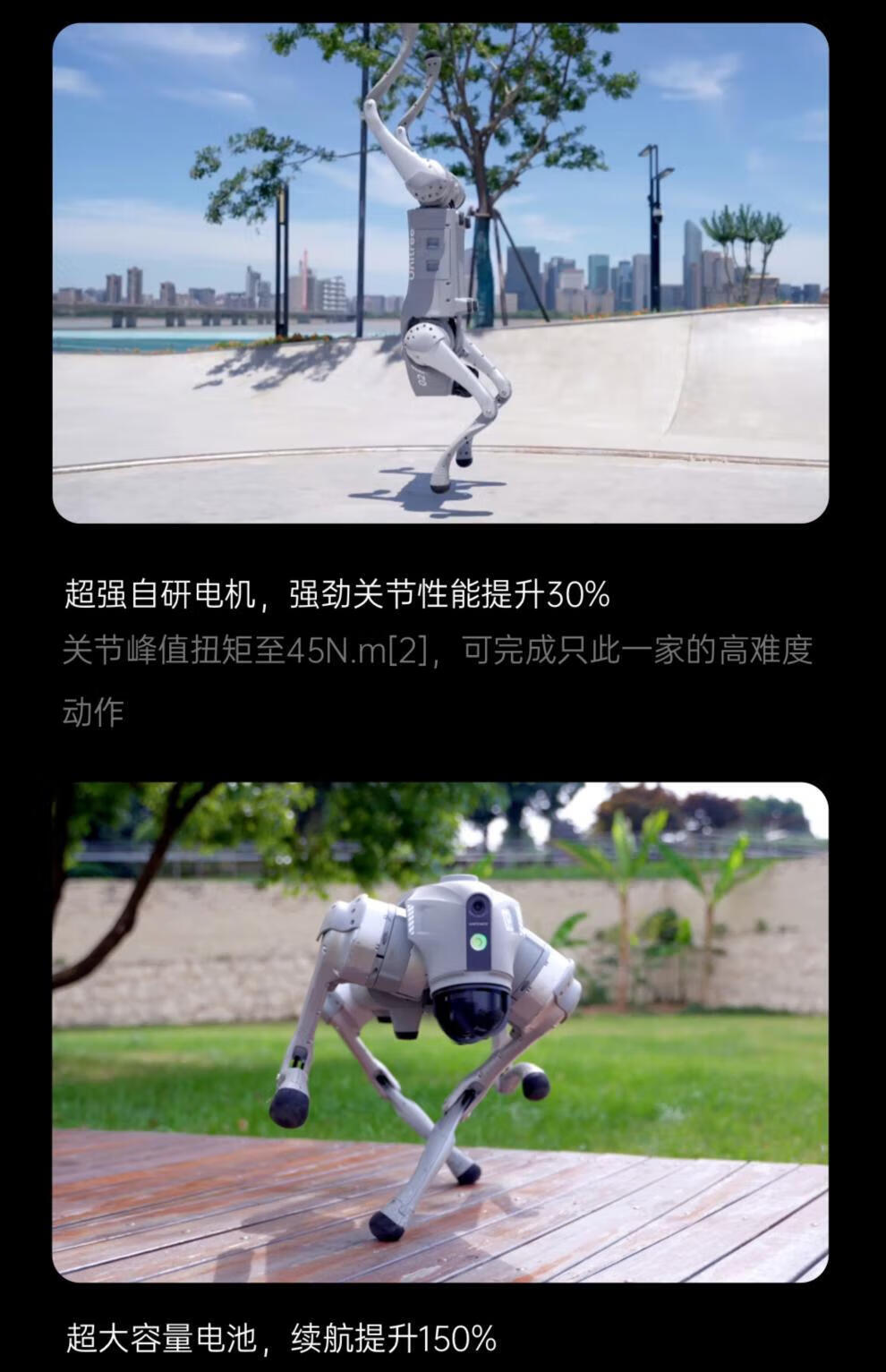 ec8121238cdd584f.jpg