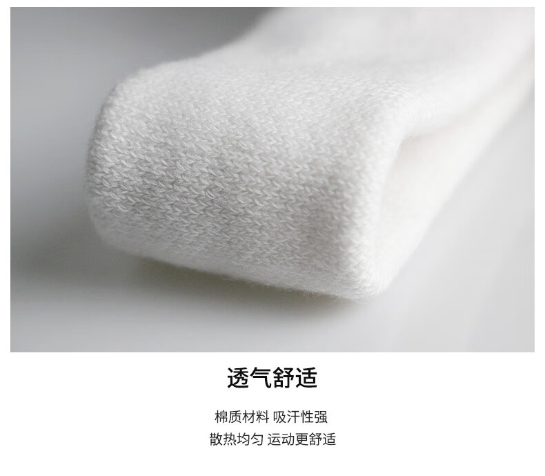 6c446ccd2bbc0e08.jpg