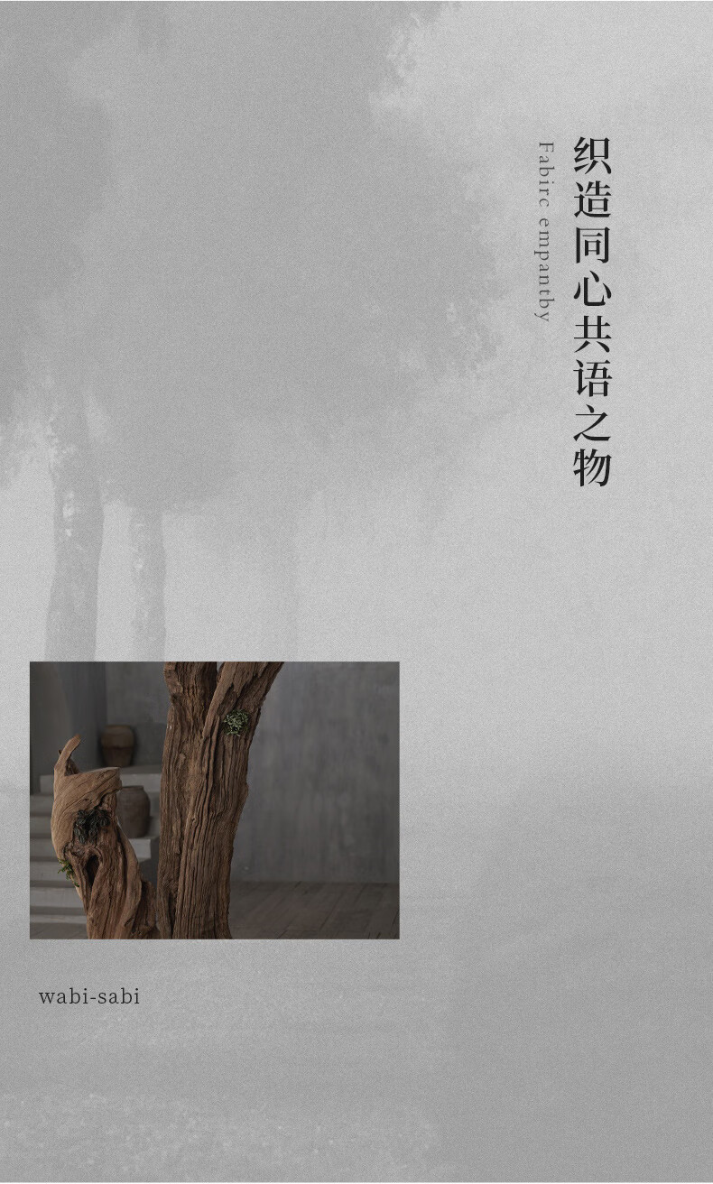 97519bc61935555a.jpg