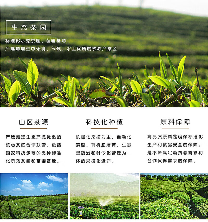 1a129ac2cf330a00.jpg