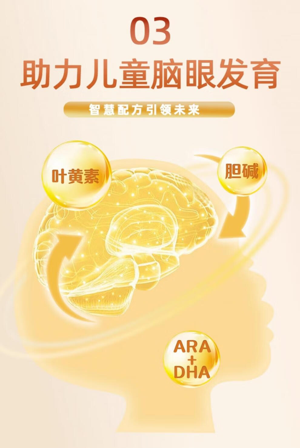 587910985d793878.jpg