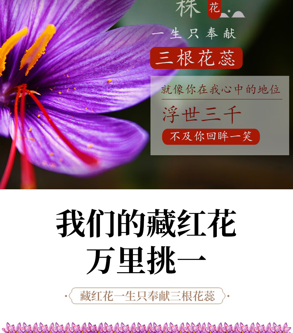 e895bb61db61c763.jpg