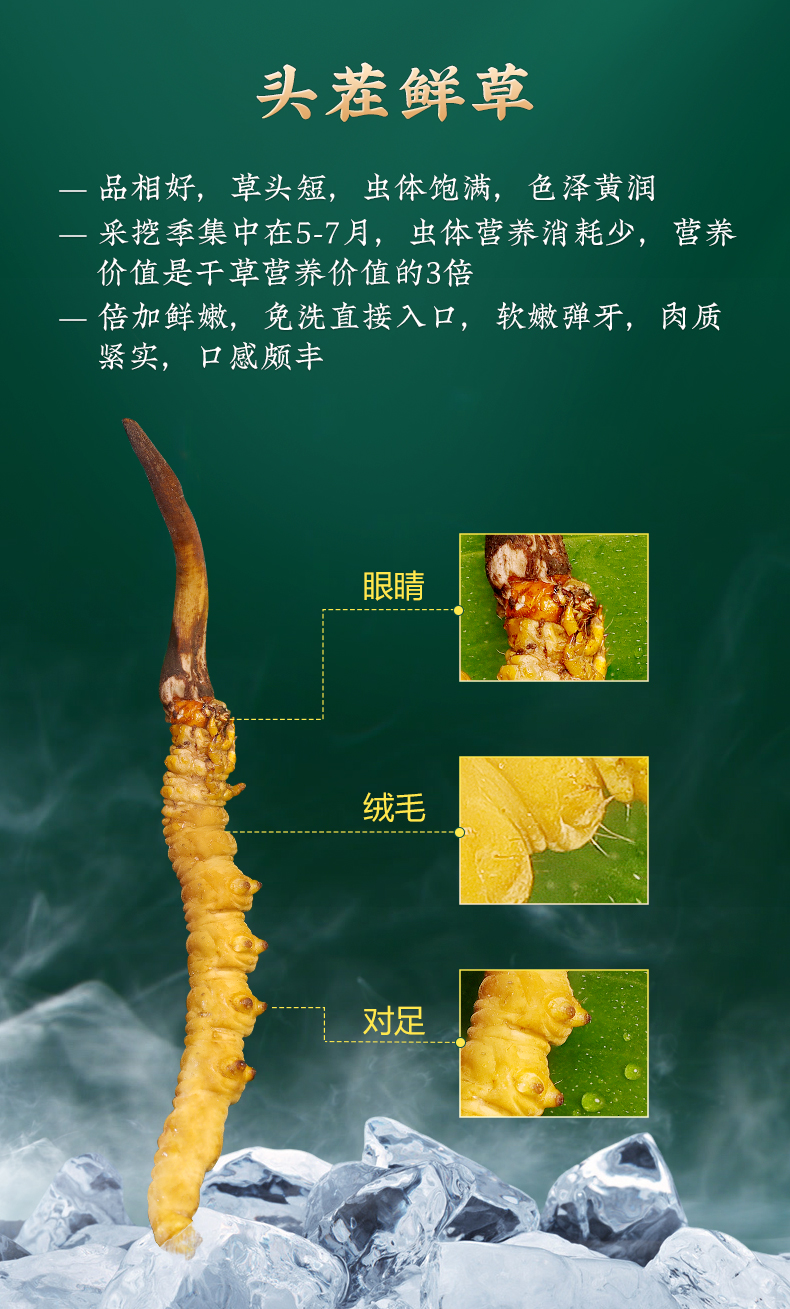 2022新鲜冬虫夏草西藏那曲鲜虫草官方旗舰店礼盒装头期鲜草 0.
