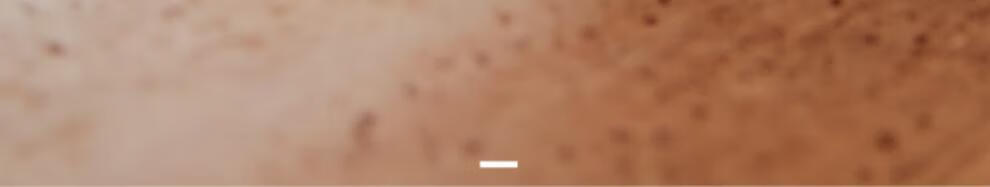 44a26df5926f7db3.jpg