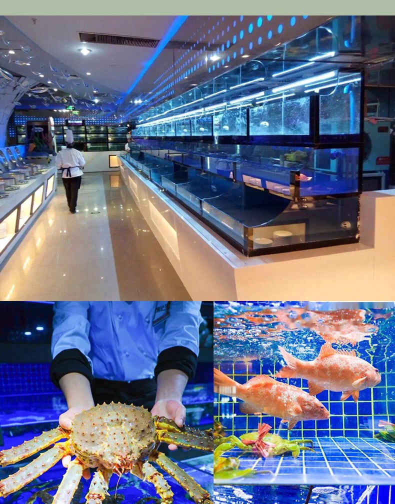 蒂乐森酒店超市饭店鱼缸商用移动海鲜鱼缸水产卖鱼专用恒温制冷一体