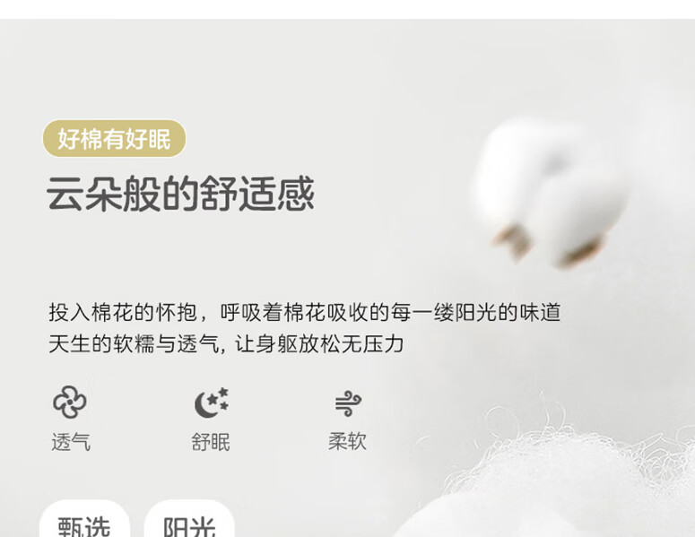 81d407de71239899.jpg