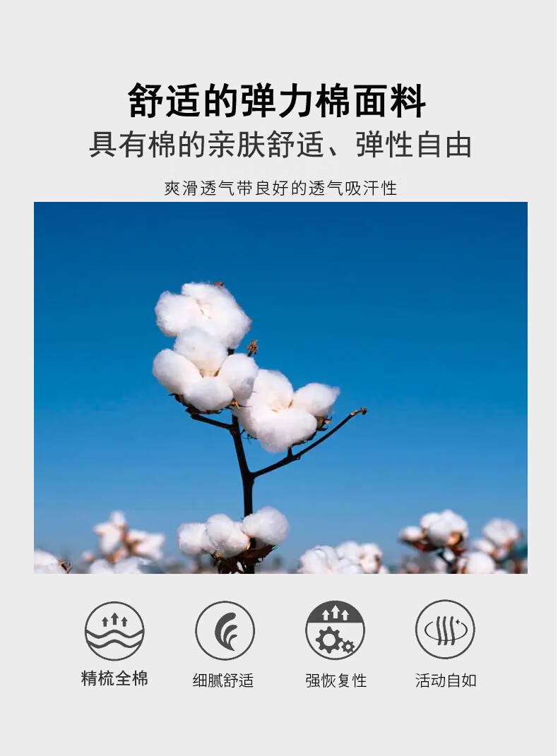 a10f3c7d22441a7d.jpg