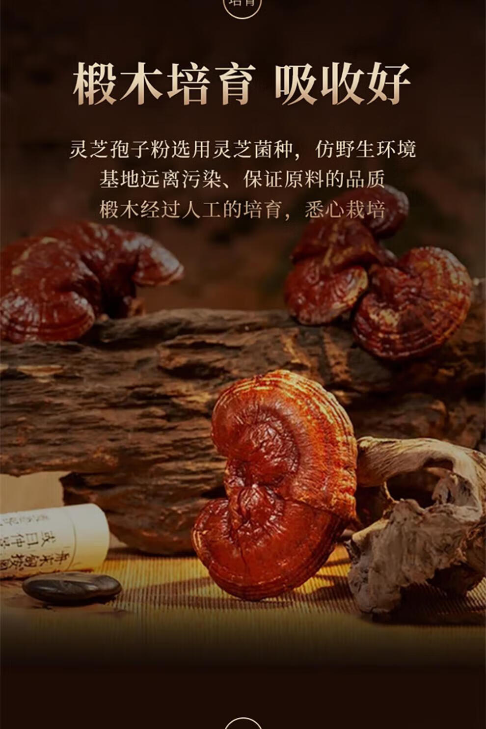 b94bd97c67e7bc84.jpg