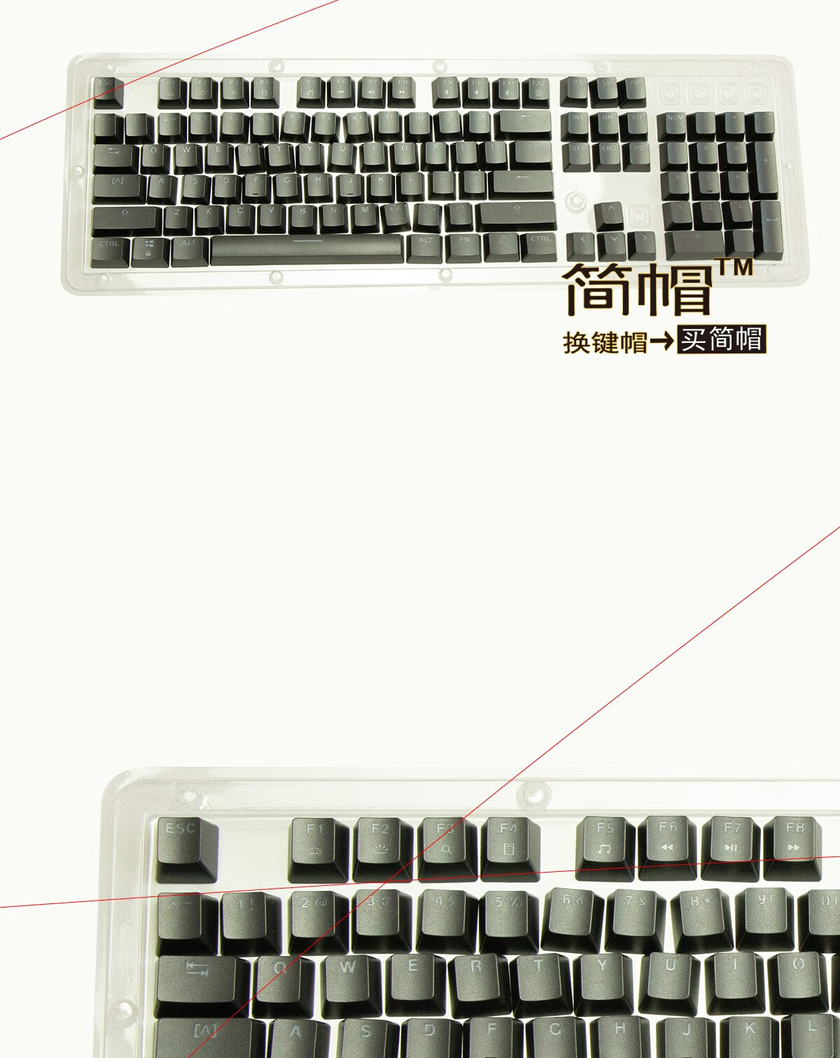 b8b78276cee5ec49.jpg