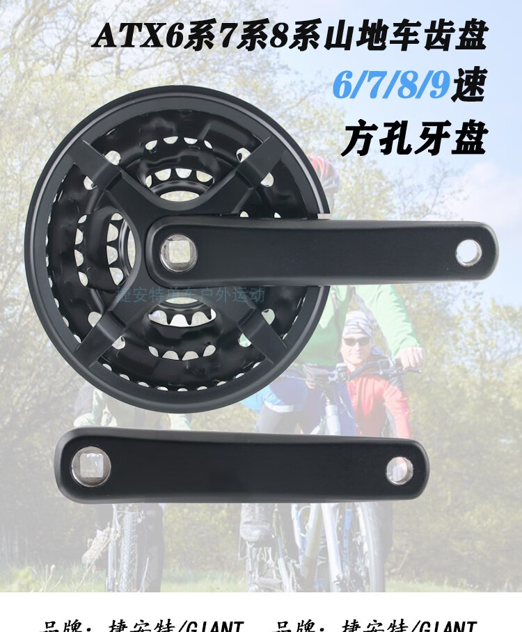 dcd25bf0350121f3.jpg