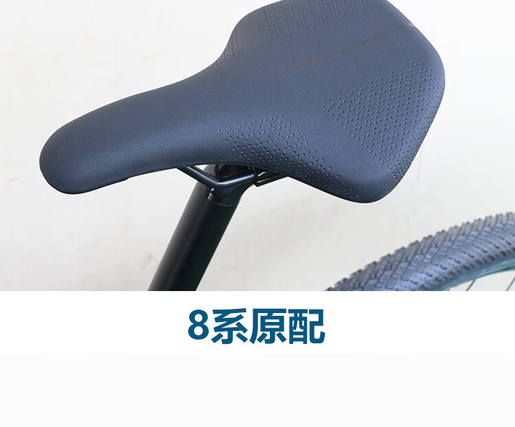 61b554efc2f95dc2.jpg