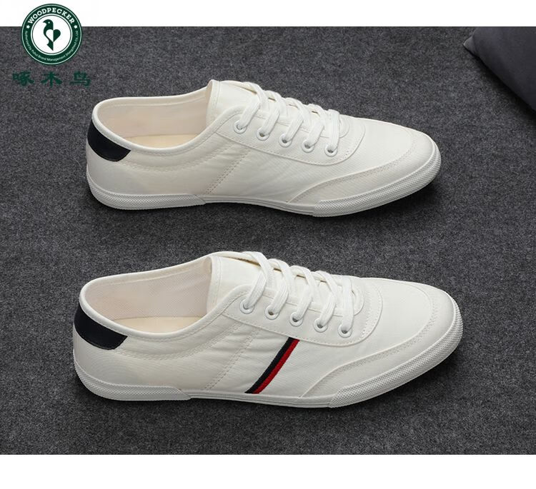 6594db7ae9a3a52b.jpg